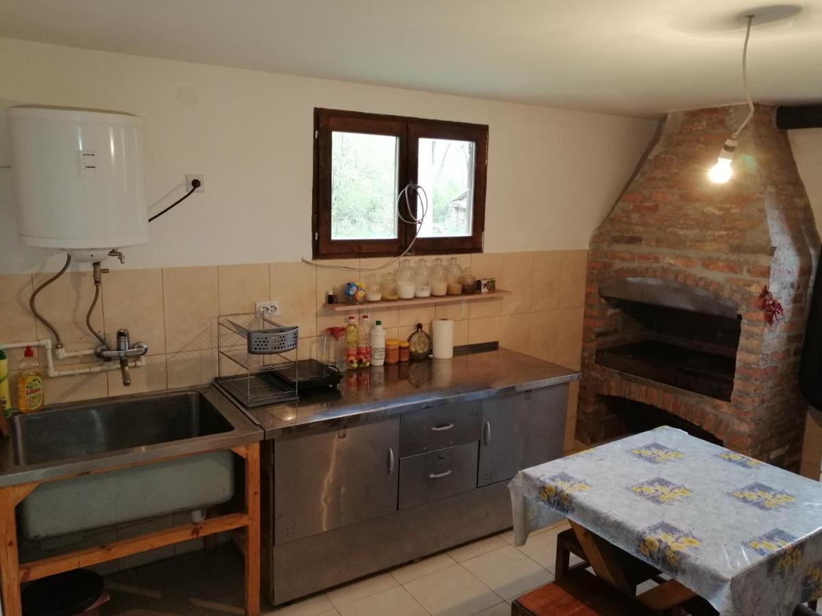 Villa Etno Kuca Nikolov à Dimitrovgrad Extérieur photo