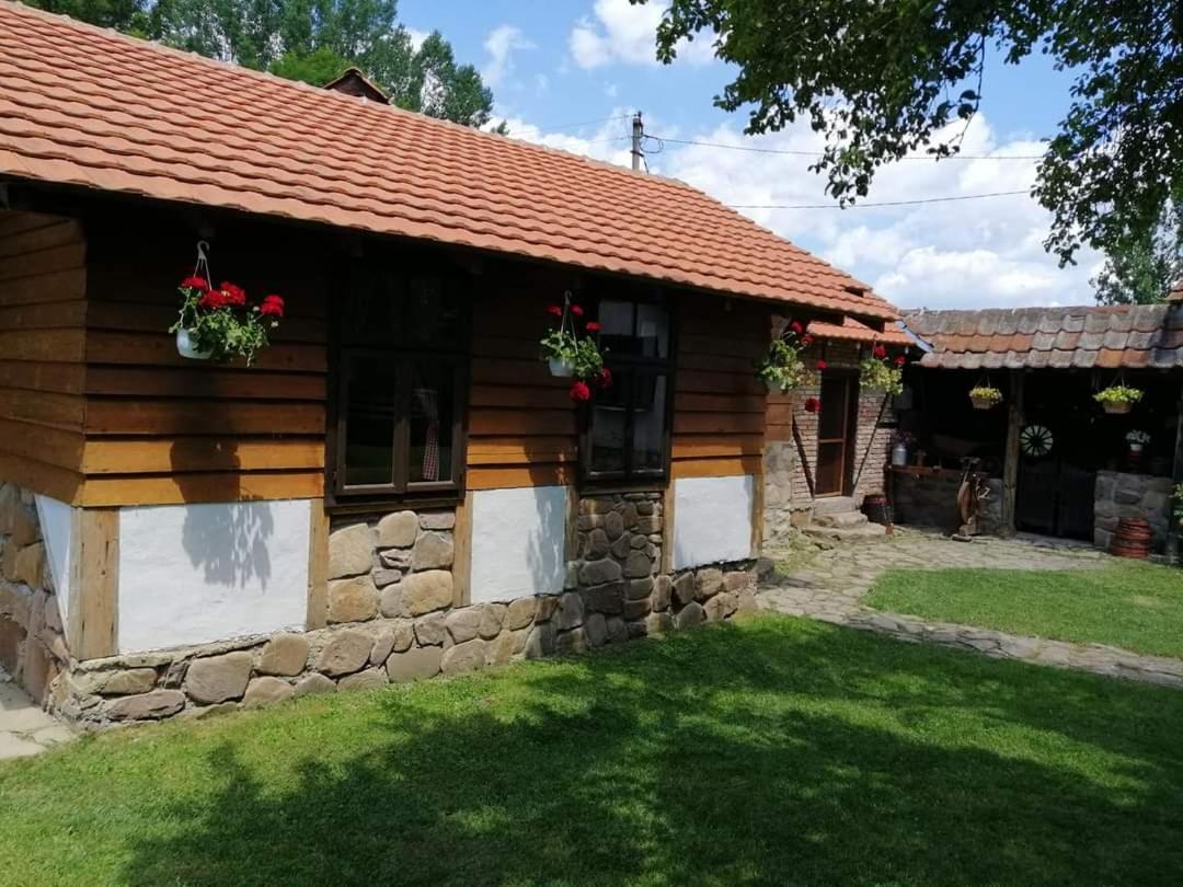 Villa Etno Kuca Nikolov à Dimitrovgrad Extérieur photo
